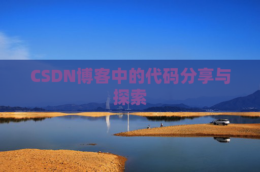 CSDN博客中的代码分享与探索